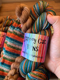 Blame it on the Weatherman ☔️ - Self Striping Sock Set with 20g Mini Skein