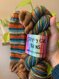 Blame it on the Weatherman ☔️ - Self Striping Sock Set with 20g Mini Skein