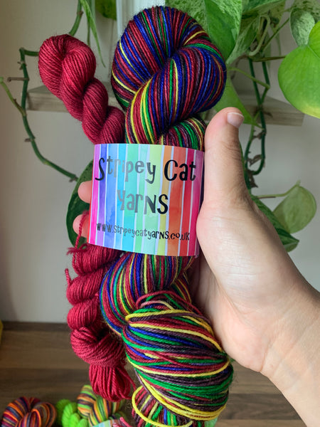 Book 1 - self striping sock yarn with 20g mini skein