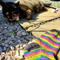 Disco Cat self striping sock yarn with 20g contrasting mini skein
