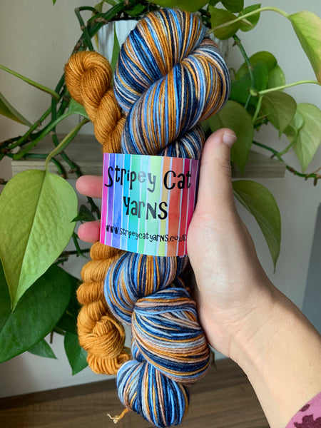 The Polar Express - Self Striping Sock Set with 20g Mini Skein