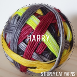 Harry - dispatching late January - self striping sock yarn with 20g mini skein