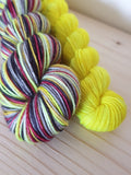 Harry - dispatching late January - self striping sock yarn with 20g mini skein