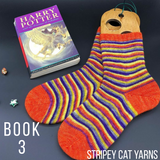 Book 3 - dispatching late January - self striping sock yarn with 20g mini skein
